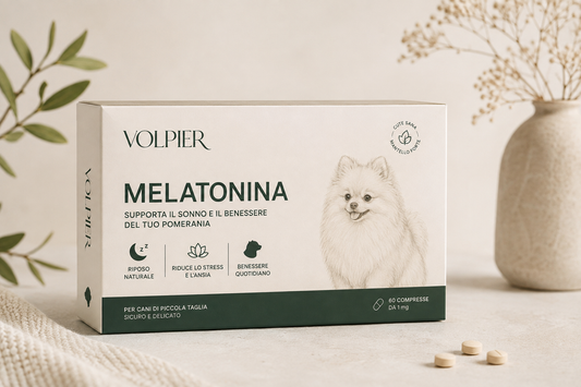 La melatonina è sicura per i cani?