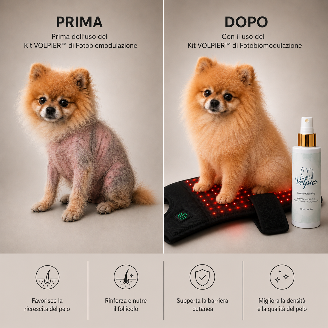Fotobiomodulazione e Sinergia Topica: Accelerare la Ricrescita del Pelo nell'Alopecia X con Luce Rossa e Volpier
