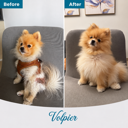 Volpier Elixir™ | Advanced Dermatological Lotion for BSD, Alopecia X and Coat Regeneration