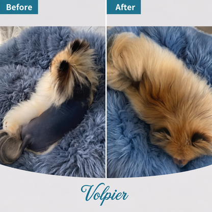 Volpier Elixir™ | Advanced Dermatological Lotion for BSD, Alopecia X and Coat Regeneration