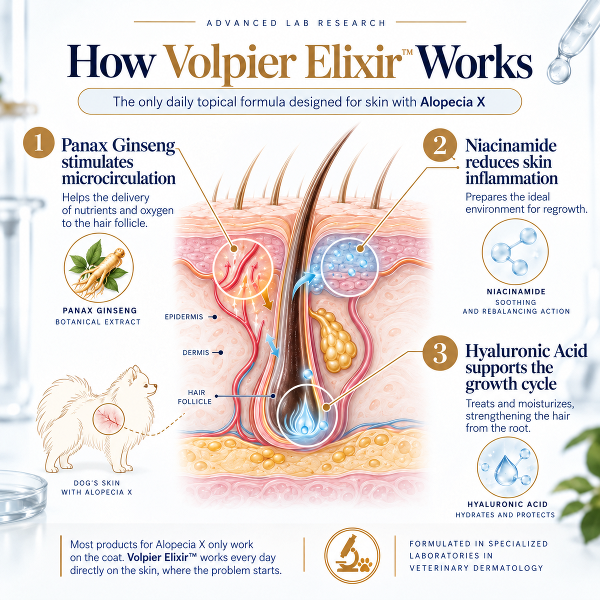 Volpier Elixir™ | Advanced Dermatological Lotion for BSD, Alopecia X and Coat Regeneration