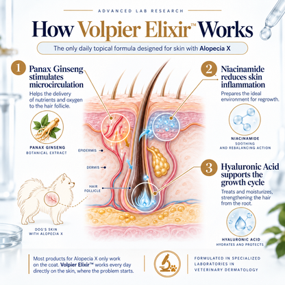 Volpier Elixir™ | Advanced Dermatological Lotion for BSD, Alopecia X and Coat Regeneration