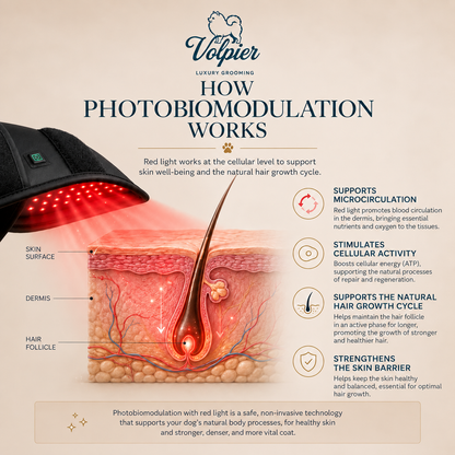 Volpier Advanced Photobiomodulation Dog Bed