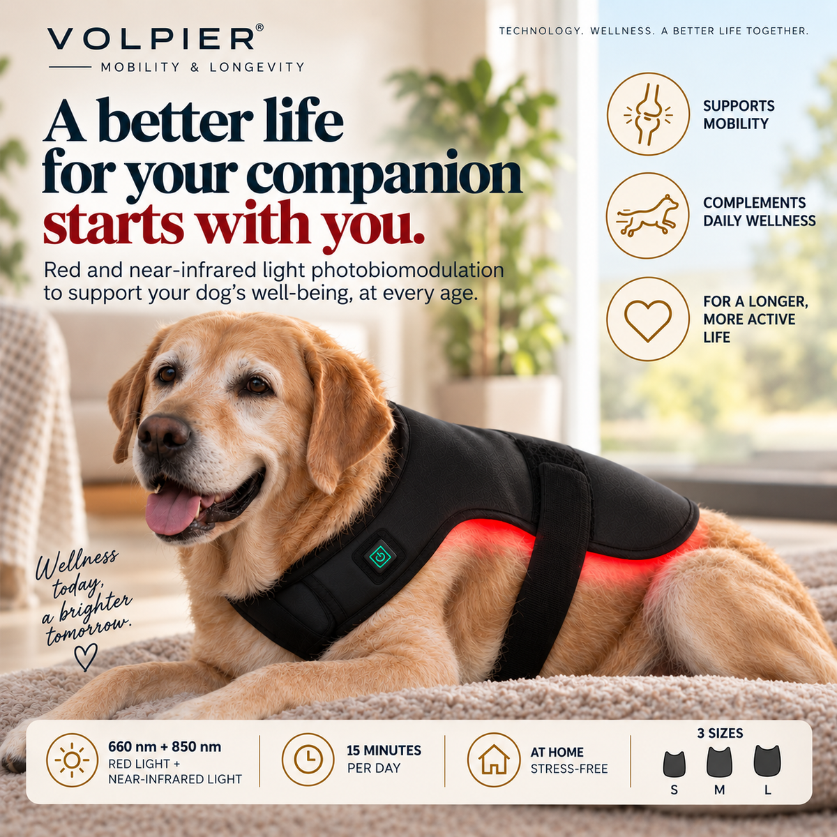 VOLPIER – Mobility & Longevity