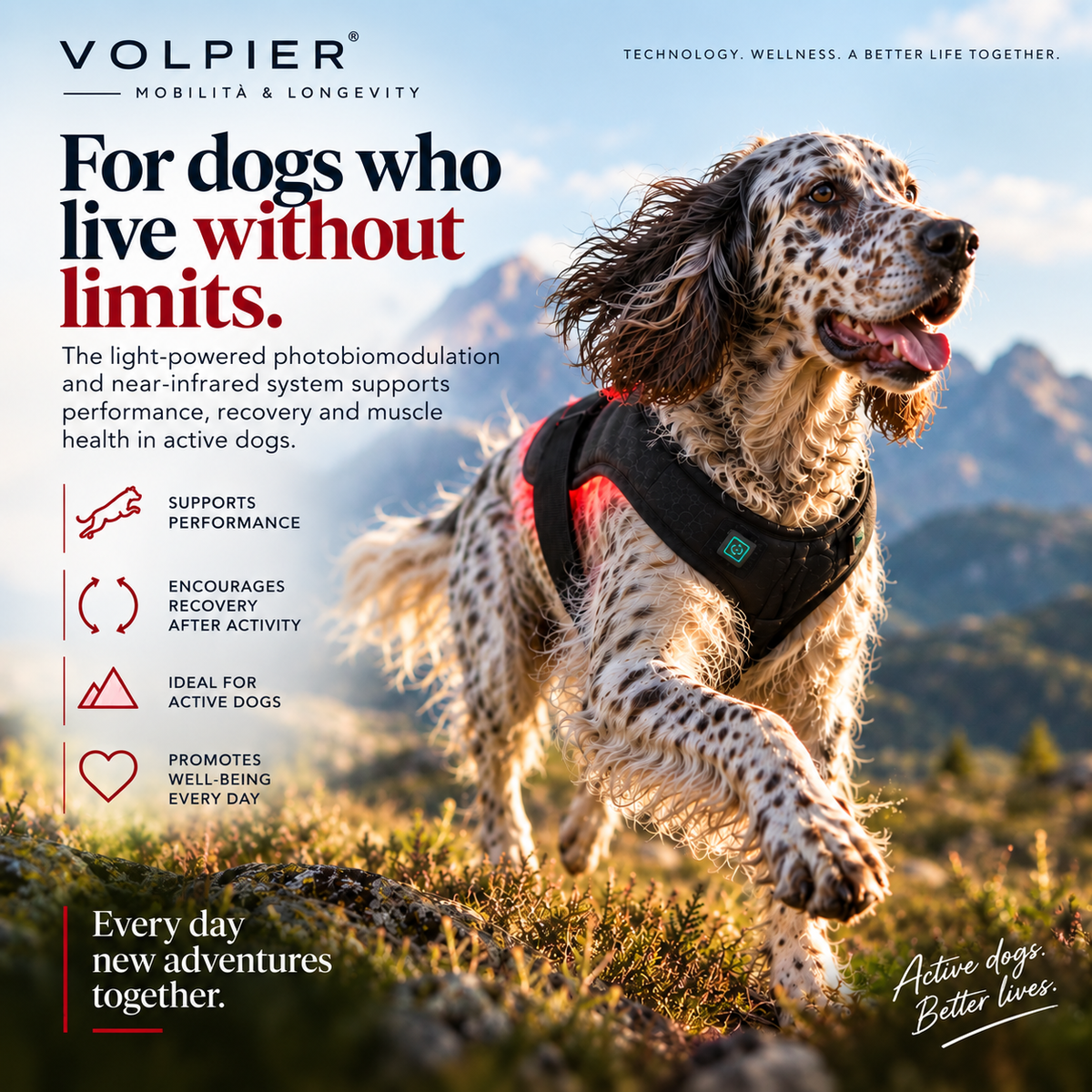 VOLPIER – Mobility & Longevity