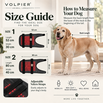 VOLPIER – Mobility & Longevity